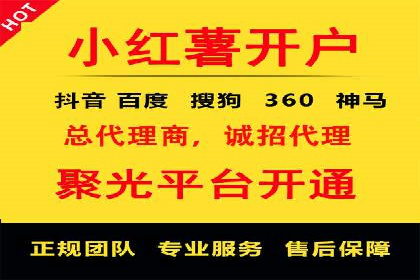 百度竞价价格优化，成功案例解析